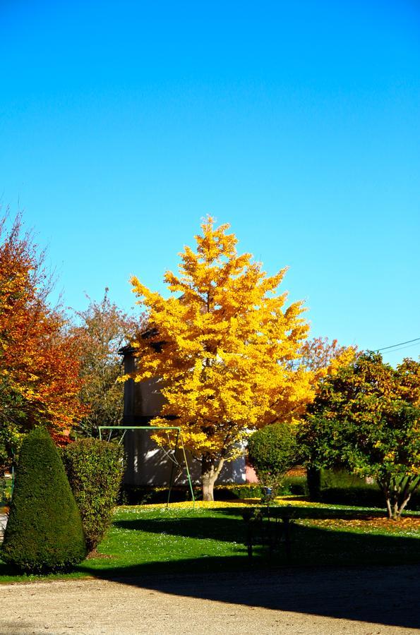 Montaulin Chateau De Montabert المظهر الخارجي الصورة